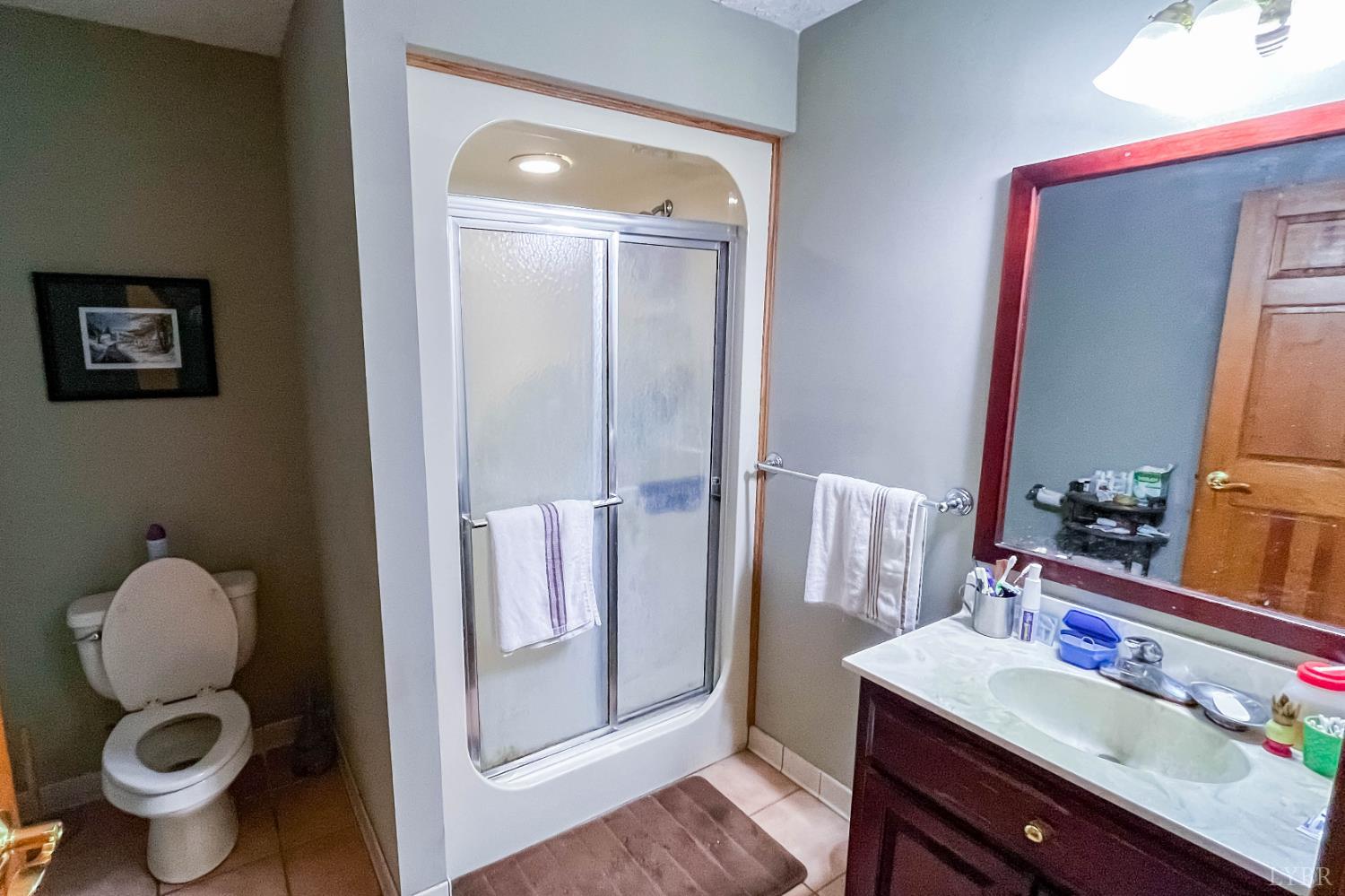 224 Walnut Road Danville, VA 24541 - Photo 39 of 54 a bathroom with a toilet sink and mirror