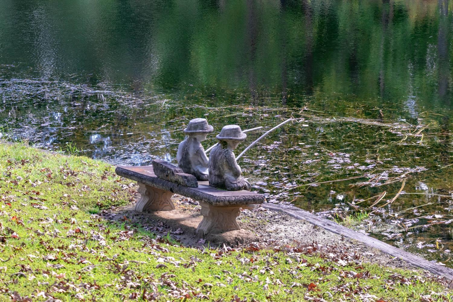 224 Walnut Road Danville, VA 24541 - Photo 51 of 54 a view of a fire pit with large trees