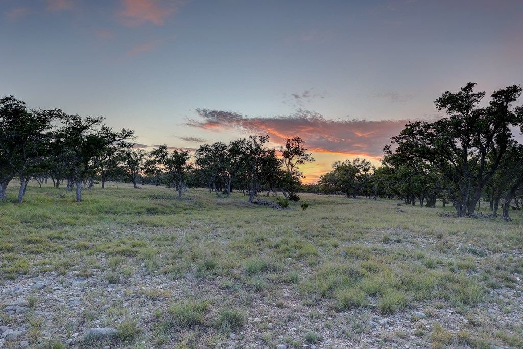 0 Stevens Ranch Road Harper, TX 78631 - Photo 17 of 31 a view of a yard with a tree
