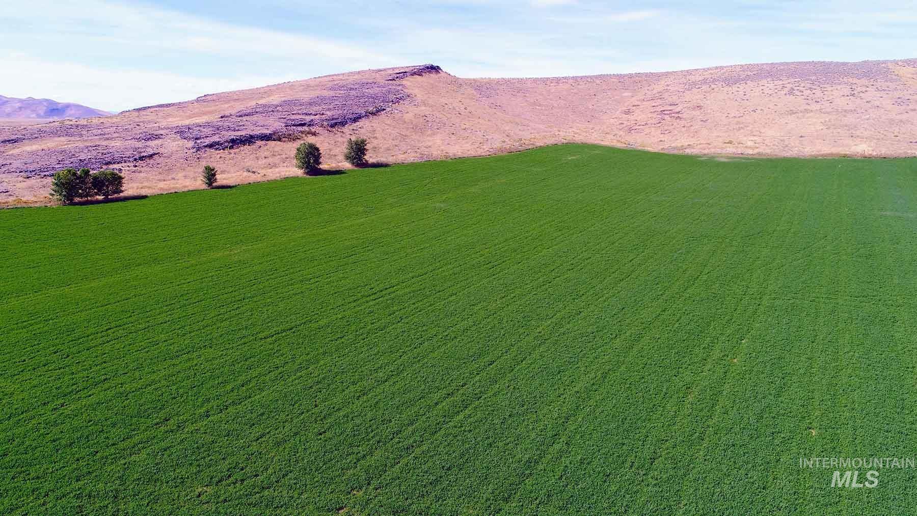 249 Priest Road Carey, ID 83320 - Photo 40 of 50