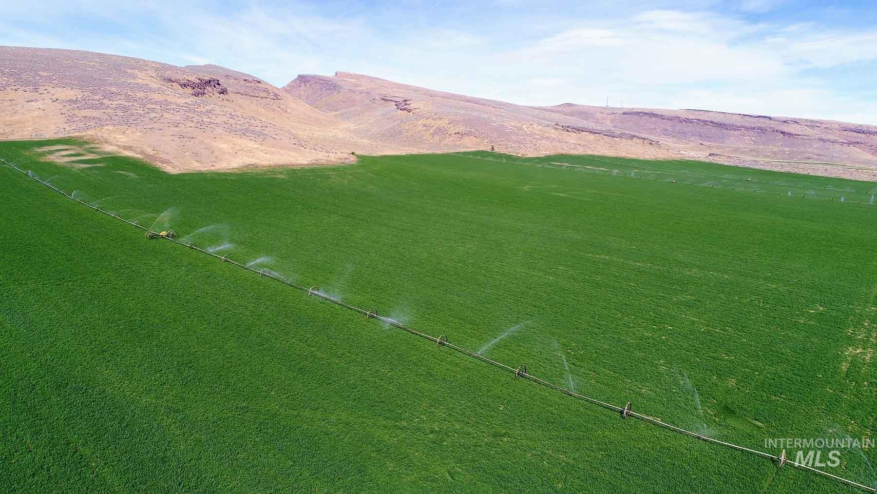 249 Priest Road Carey, ID 83320 - Photo 41 of 50