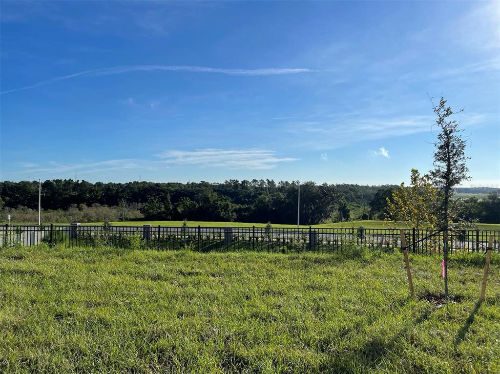 2896 Muller Oak Loop Ocoee, FL 34761 - Photo 20 of 20