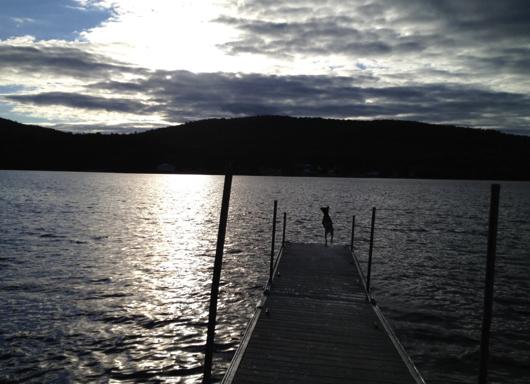 1283 Sly Brook Road Eagle Lake, ME 04739 - Photo 50 of 54 Screen Shot 2020-06-25 at 9.21.26 AM