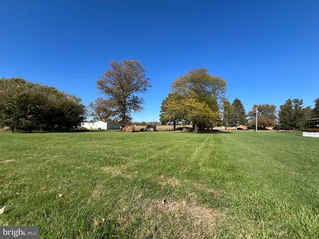 a view of green field