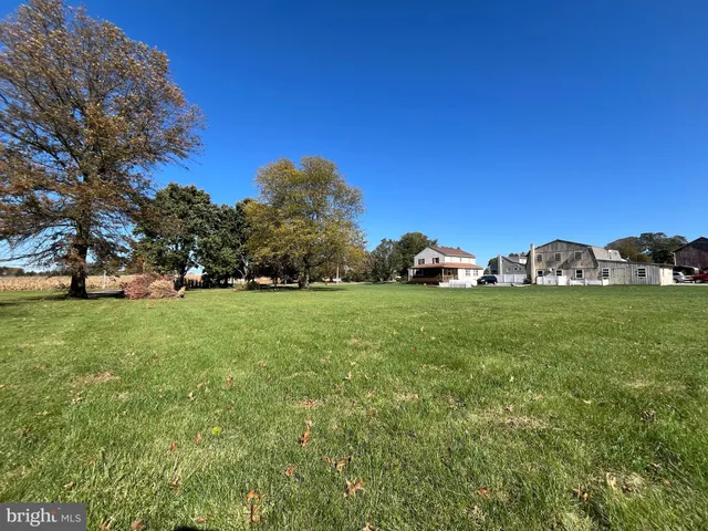 a view of yard with trees and grass