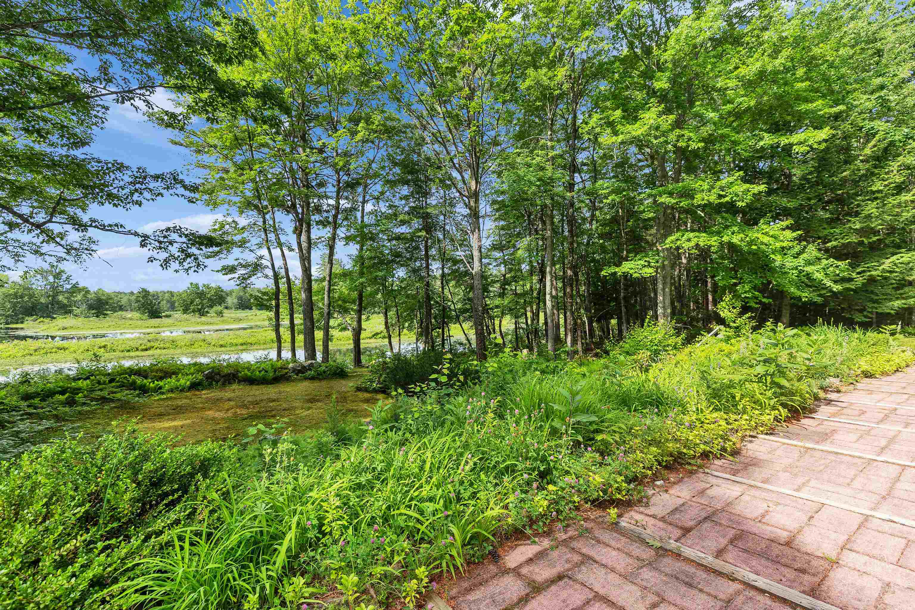 261 Forest Road Hancock, NH 03449 - Photo 45 of 60