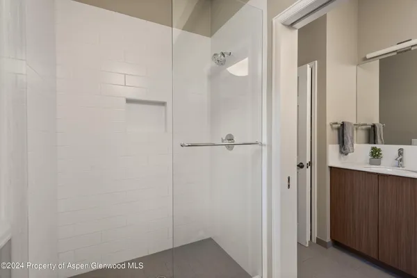 a bathroom with a shower and a sink