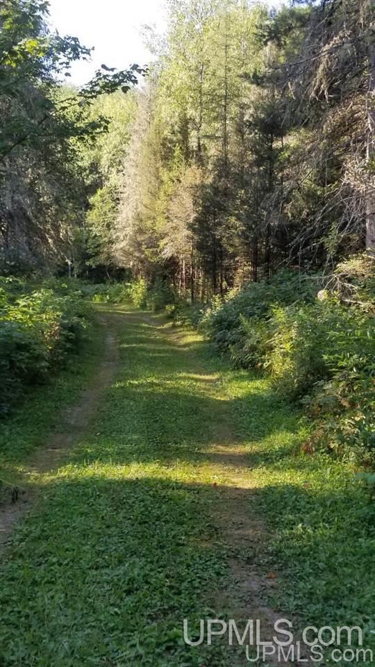 Tbd Fishing Site Road, Unit 1 Amasa, MI 49903 - Photo 5 of 19