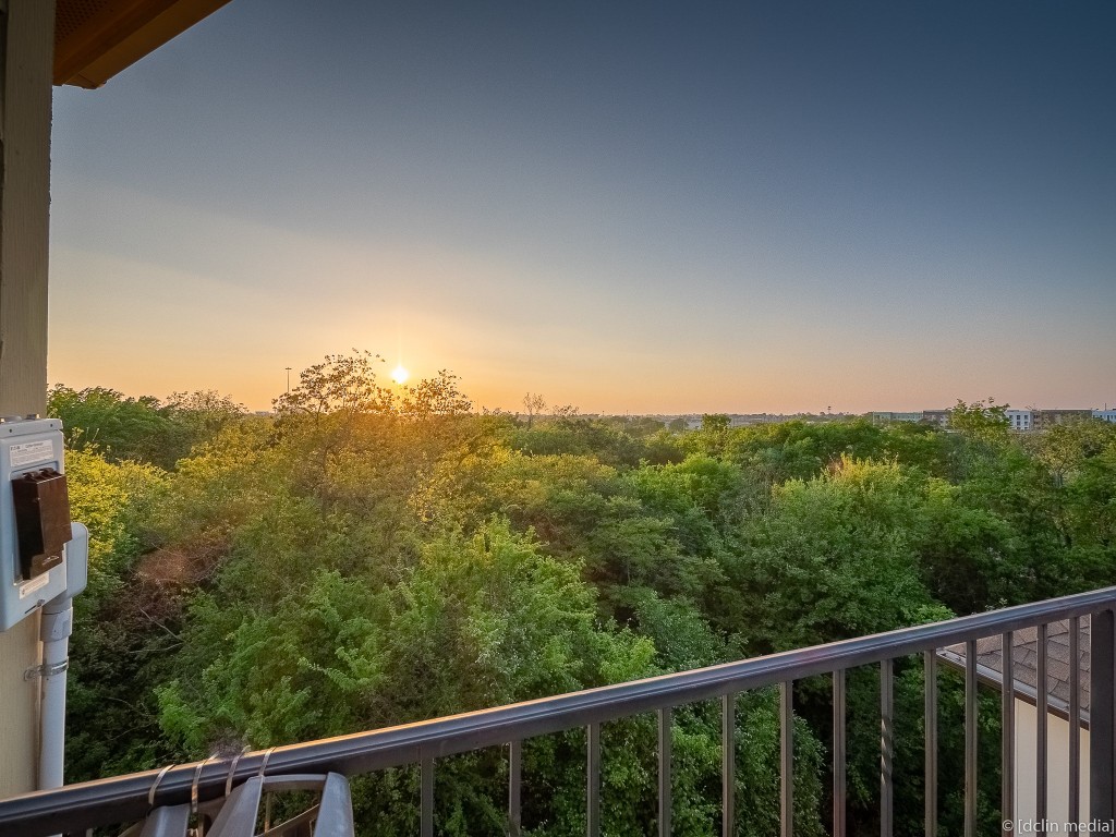 4118 Bonner View Lane Houston, TX 77007 - Photo 28 of 39 a view of a forest from a balcony
