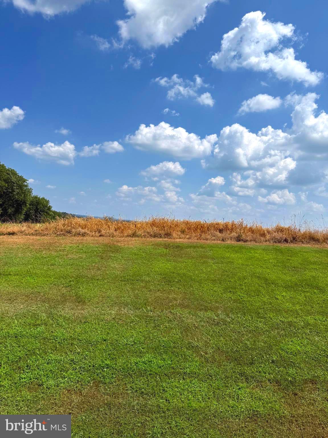 Winchester Boulevard Frederick, MD 21703 - Photo 1 of 4 a view of an ocean and yard