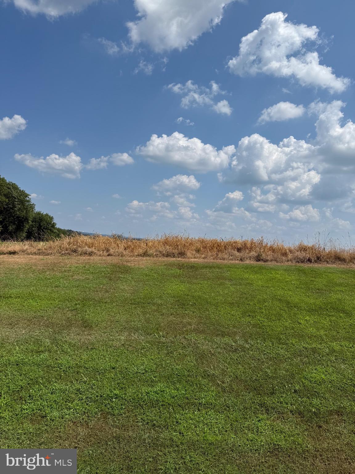 Winchester Boulevard Frederick, MD 21703 - Photo 4 of 4