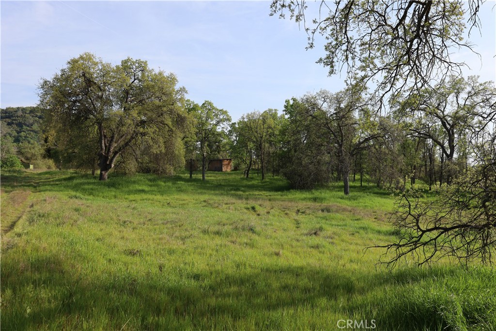 0 Douglas Road Coarsegold, CA 93614 - Photo 29 of 32