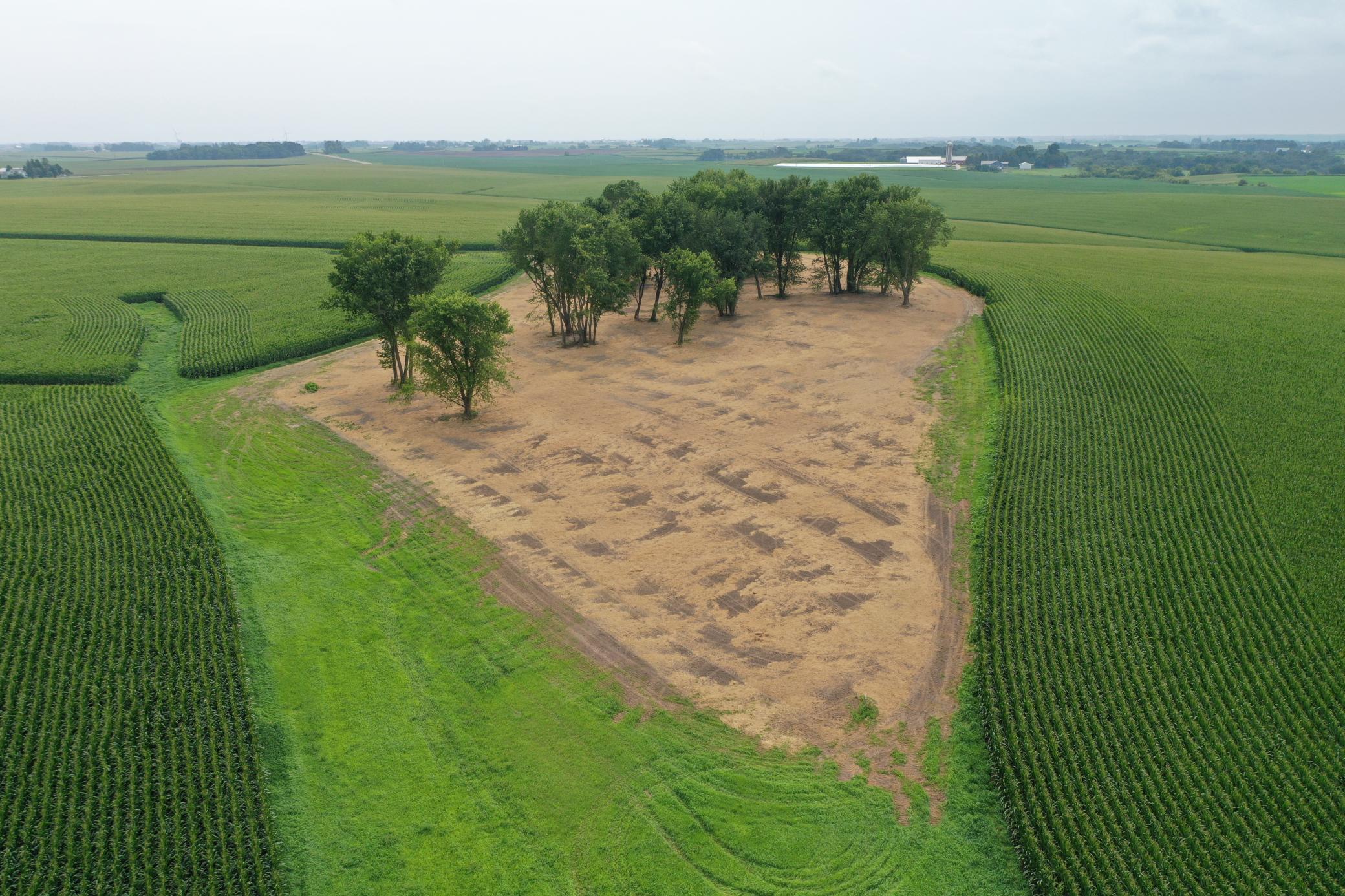 27 County Road 27 Altura, MN 55910 - Photo 11 of 24