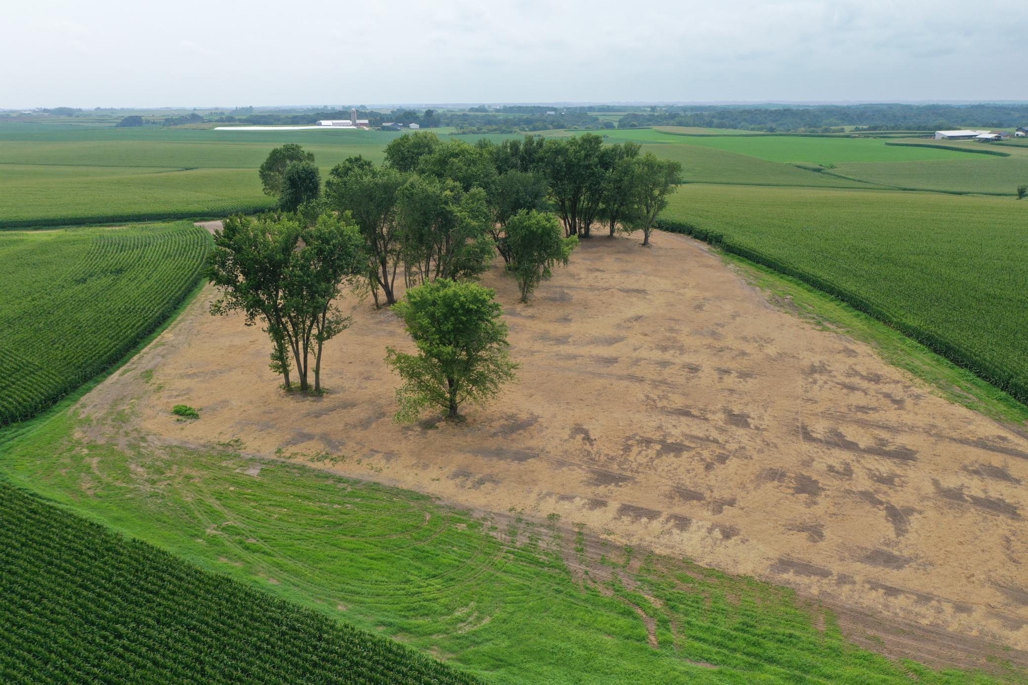 27 County Road 27 Altura, MN 55910 - Photo 12 of 24