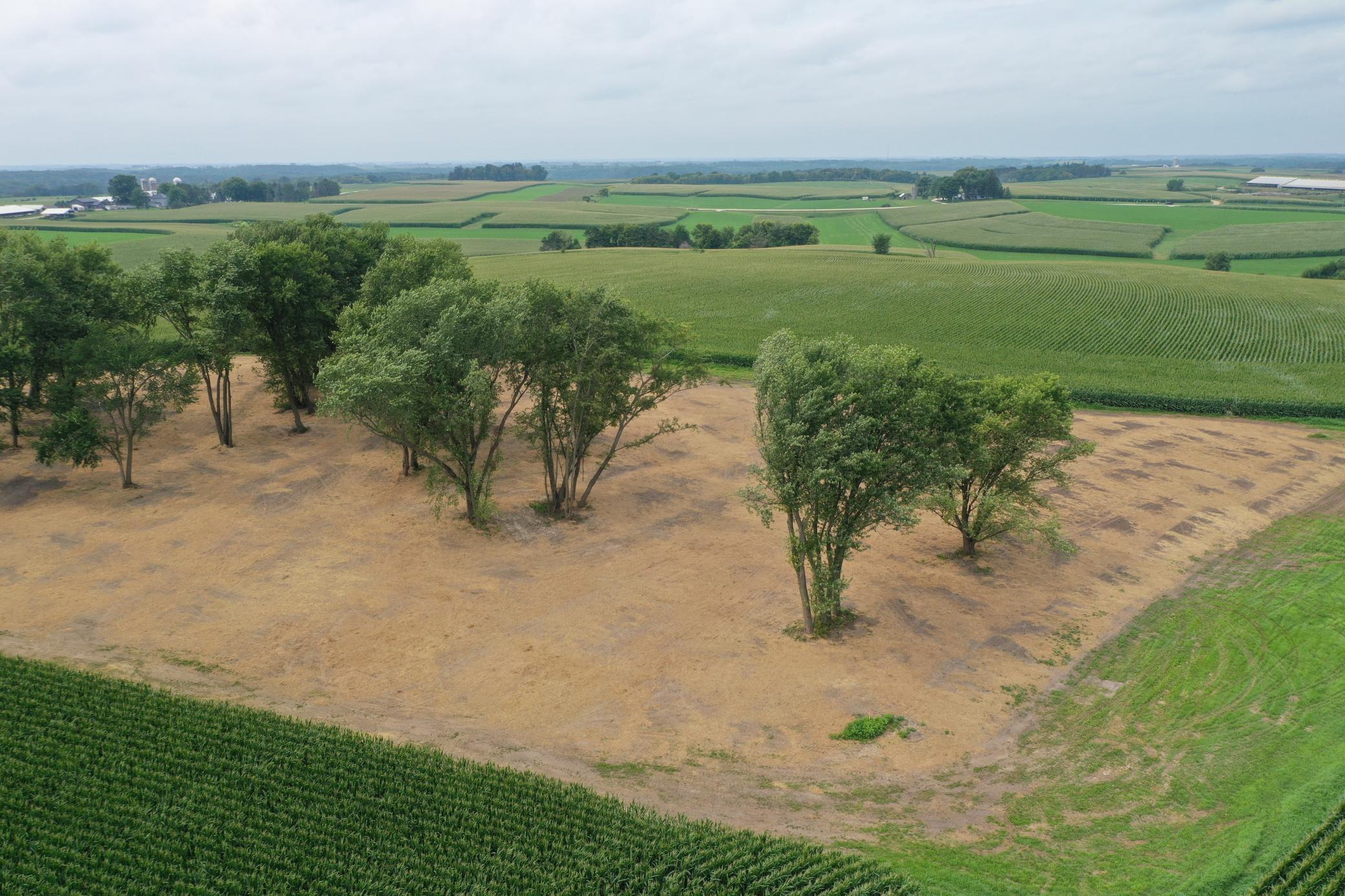 27 County Road 27 Altura, MN 55910 - Photo 13 of 24