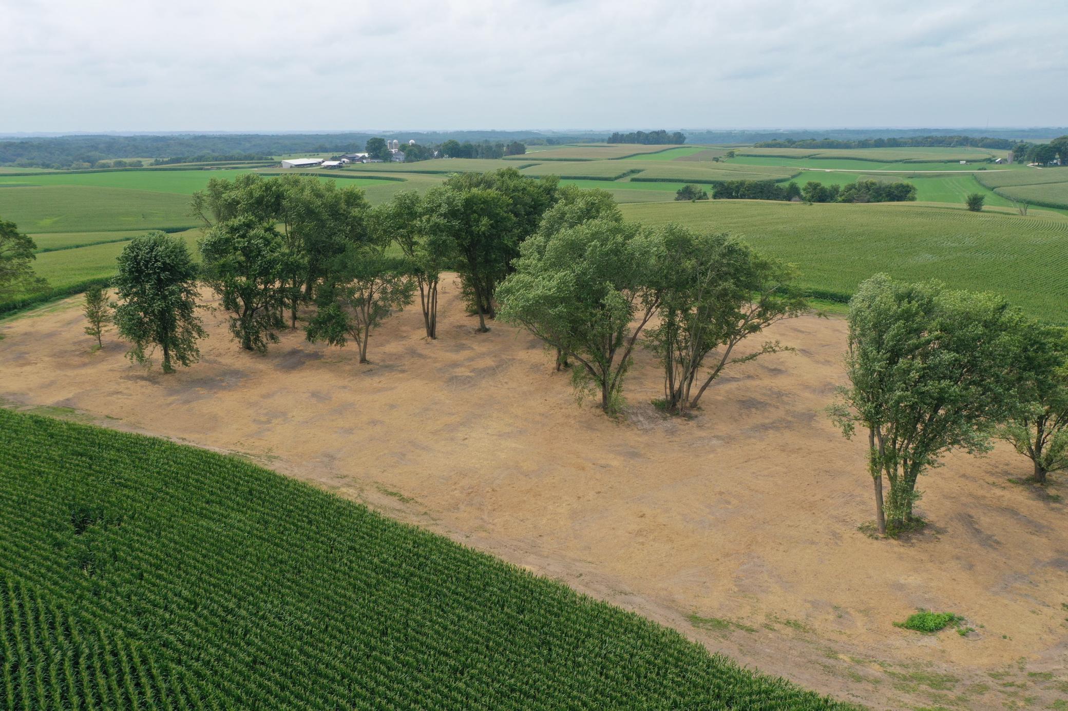 27 County Road 27 Altura, MN 55910 - Photo 14 of 24