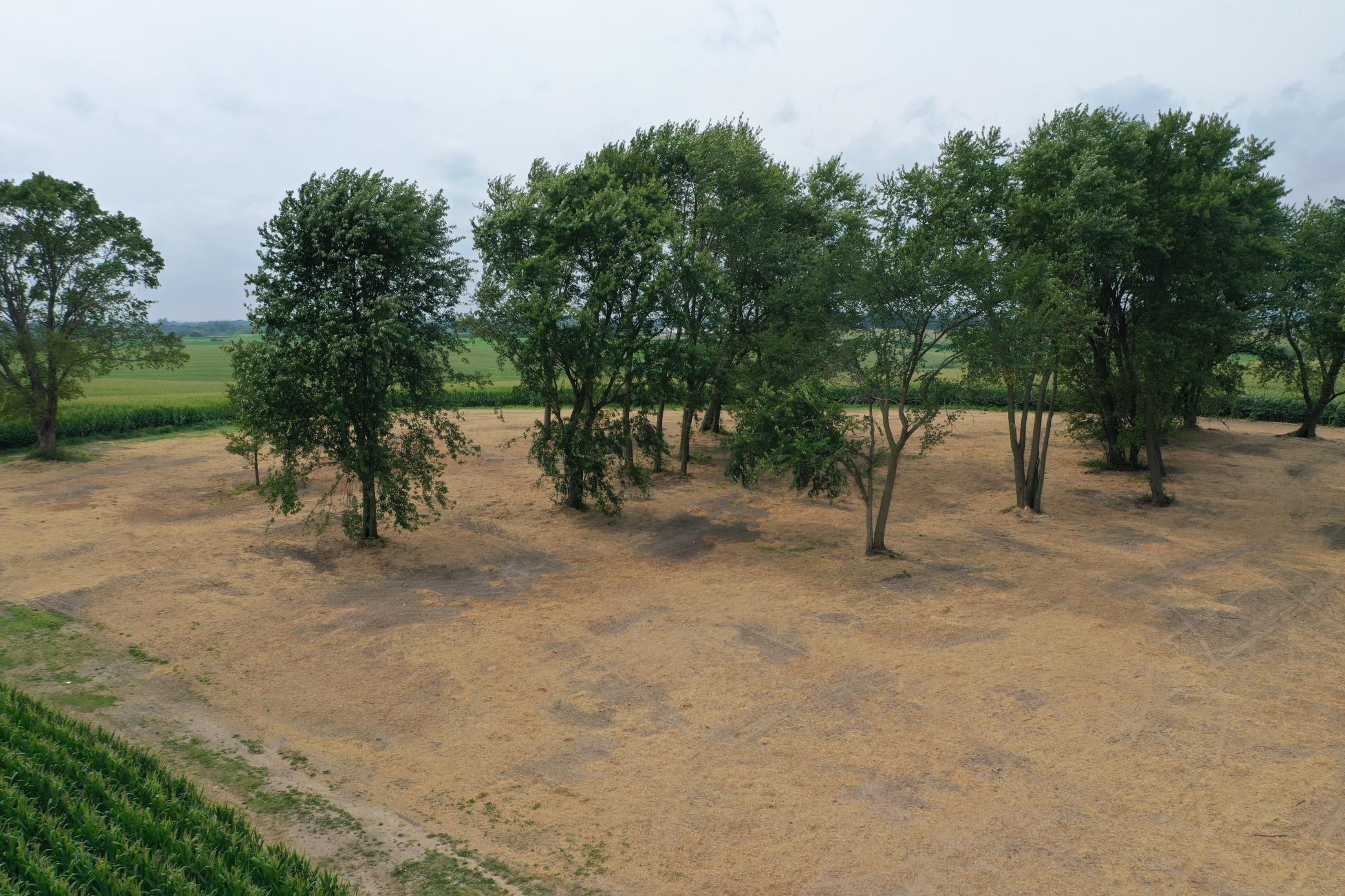 27 County Road 27 Altura, MN 55910 - Photo 15 of 24