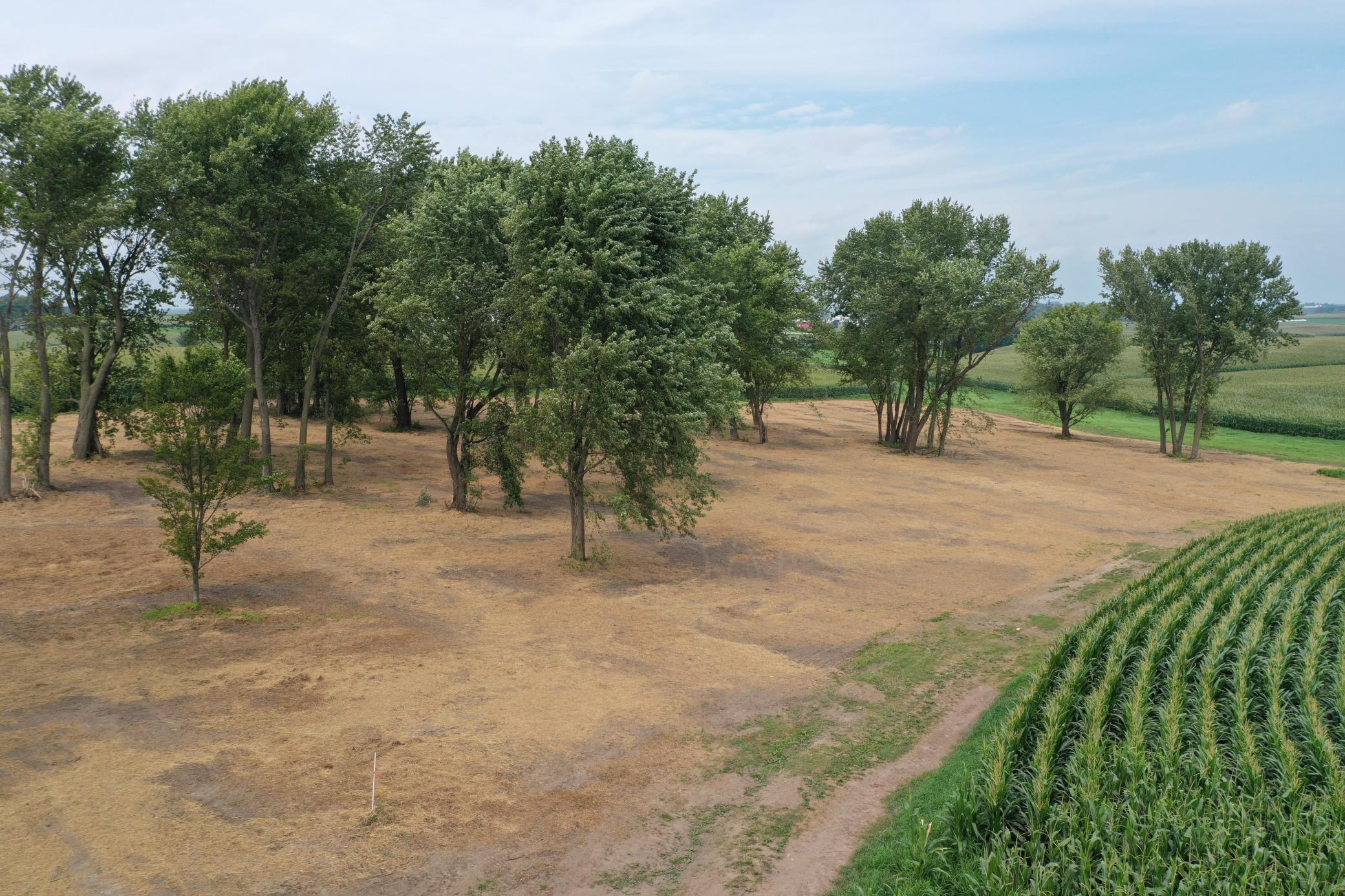 27 County Road 27 Altura, MN 55910 - Photo 17 of 24