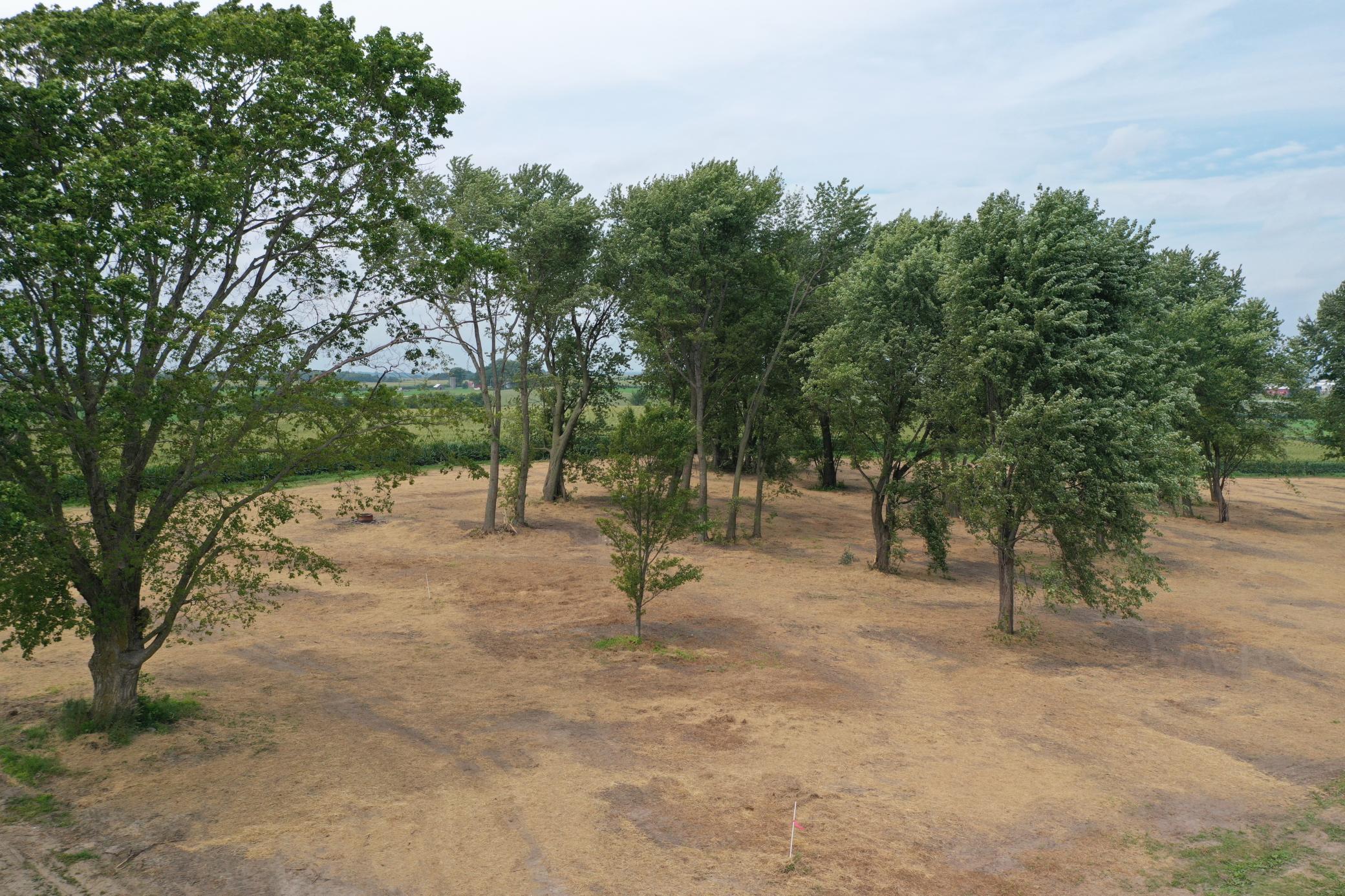 27 County Road 27 Altura, MN 55910 - Photo 18 of 24