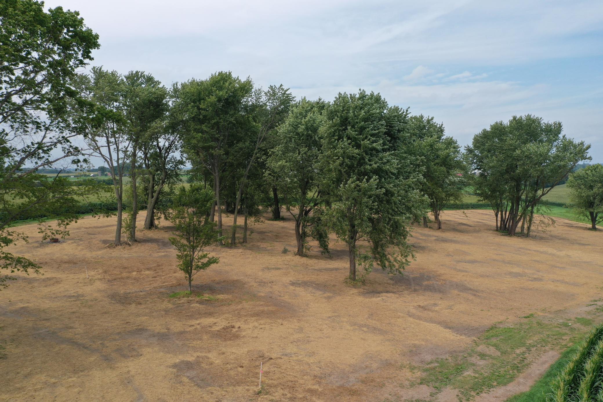 27 County Road 27 Altura, MN 55910 - Photo 19 of 24