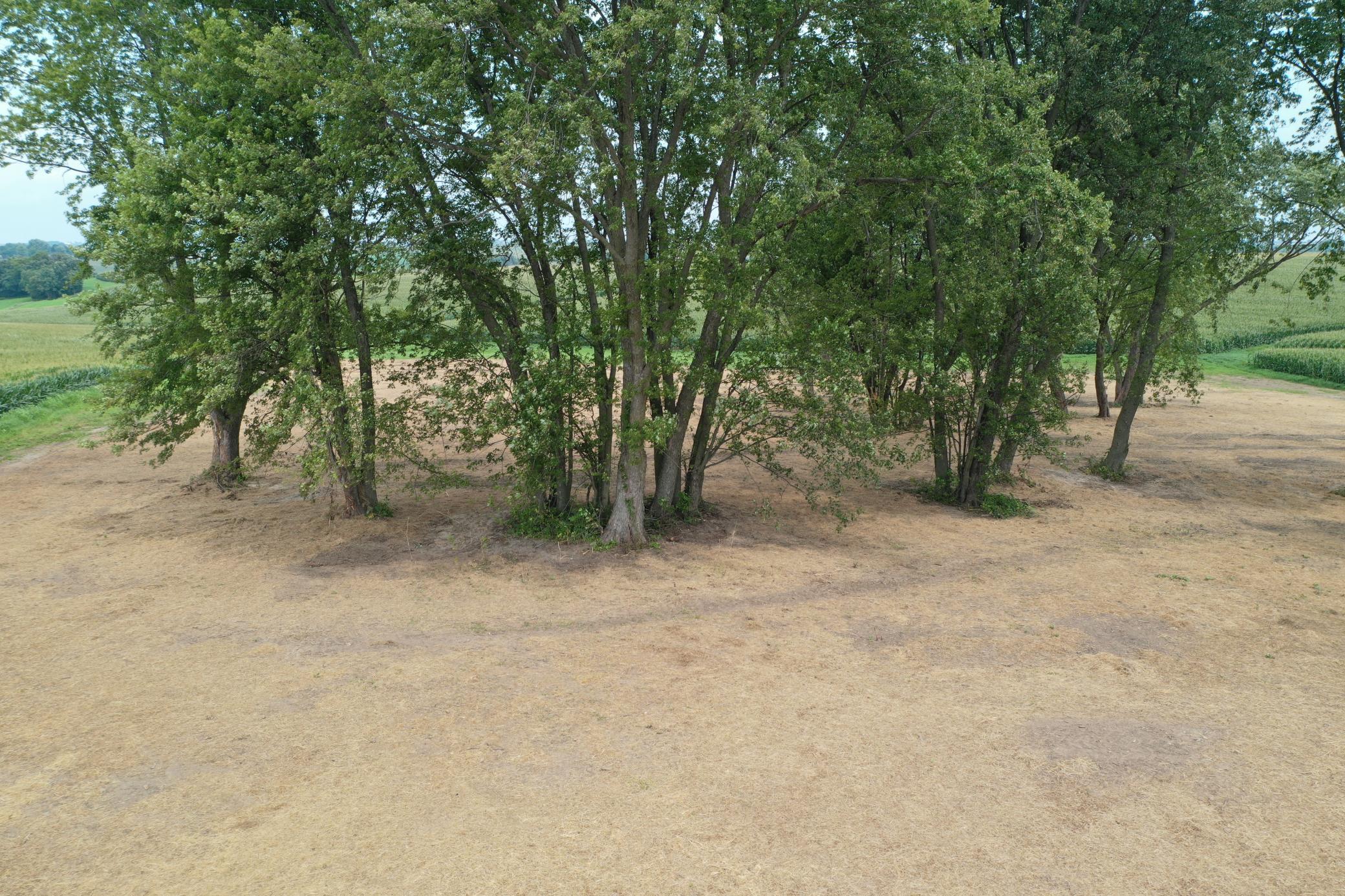 27 County Road 27 Altura, MN 55910 - Photo 24 of 24