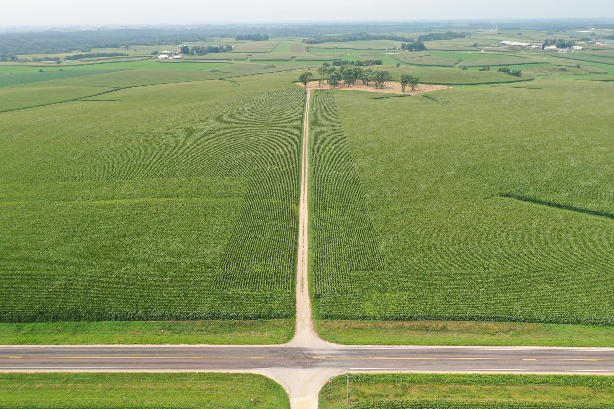 27 County Road 27 Altura, MN 55910 - Photo 5 of 24