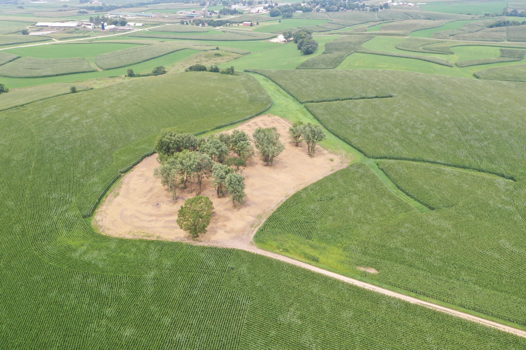 27 County Road 27 Altura, MN 55910 - Photo 6 of 24