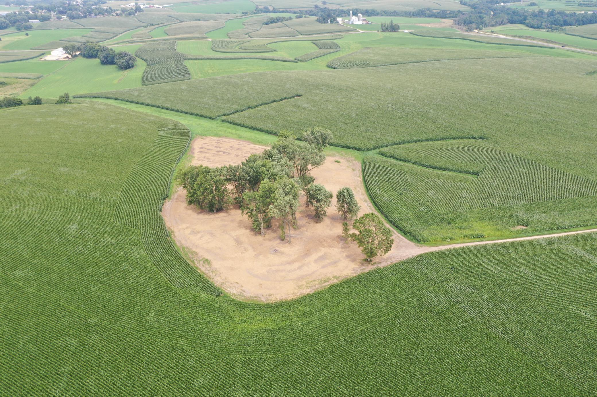 27 County Road 27 Altura, MN 55910 - Photo 7 of 24