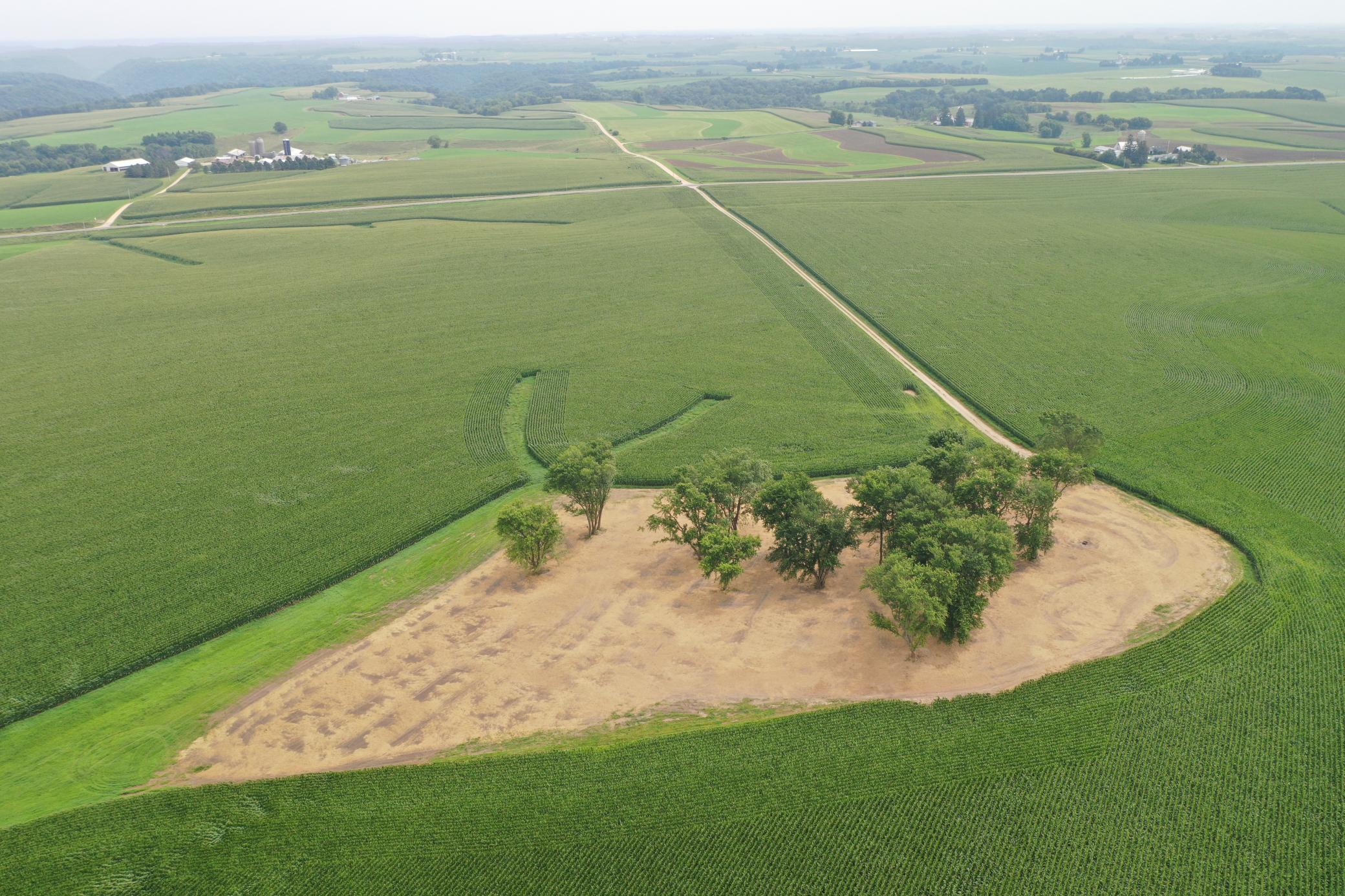 27 County Road 27 Altura, MN 55910 - Photo 9 of 24