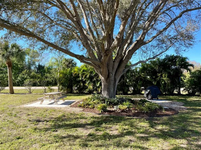 a view of a yard with a tree