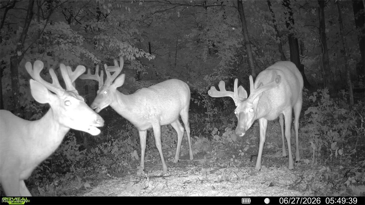 Norris Road Tippecanoe, OH 44699 - Photo 30 of 32