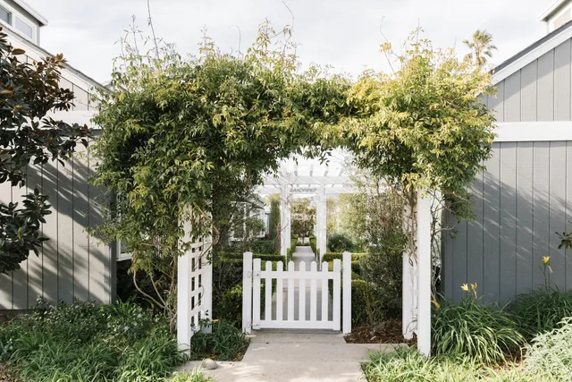 a view of a house with a tree in front