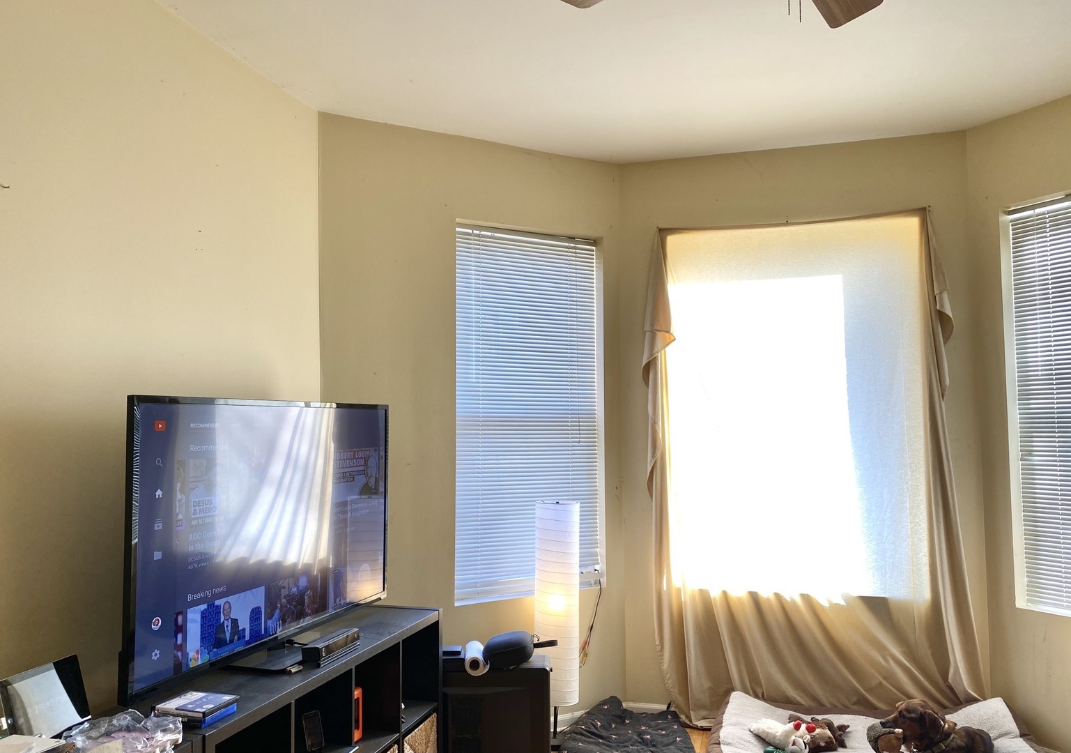 2610 West Thomas Street, Unit 1F Chicago, IL 60622 - Photo 11 of 13 a room with furniture and window