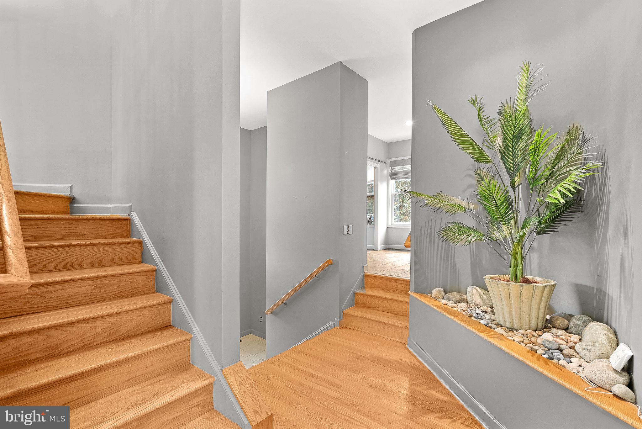 19451 Youngs Cliff Road Sterling, VA 20165 - Photo 10 of 128