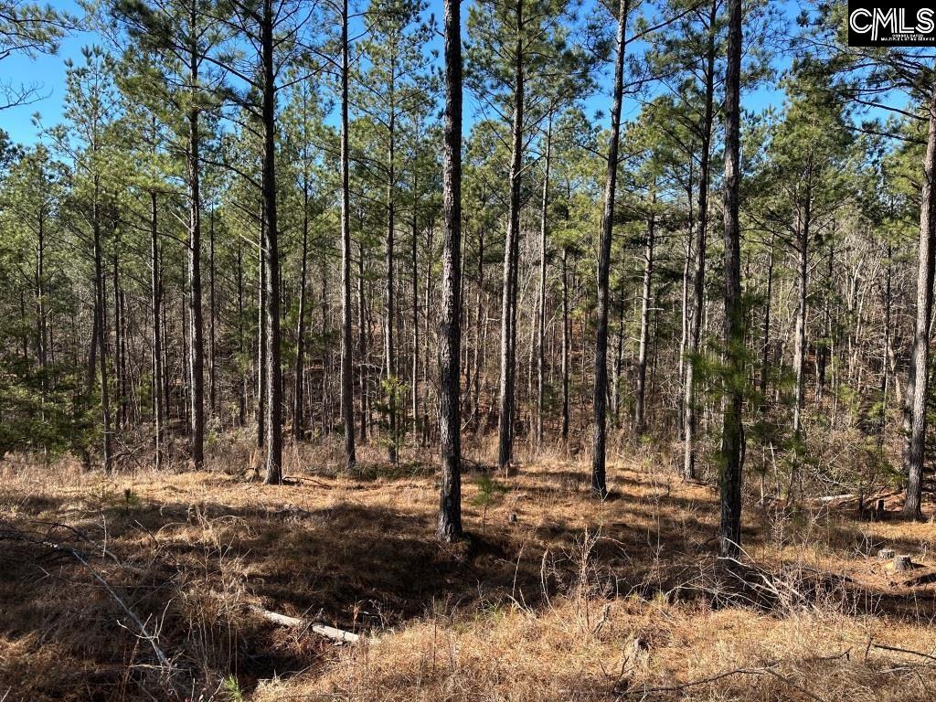 River Road Winnsboro, SC 29180 - Photo 4 of 20