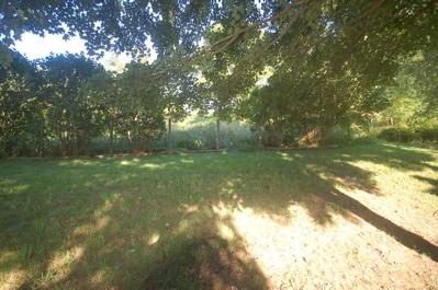 1712 Potts Creek Road Covington, VA 24426 - Photo 16 of 25 BACK YARD