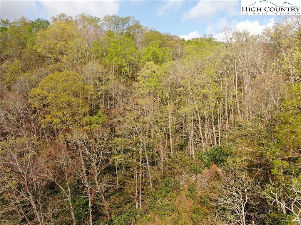 Big Hill Road Todd, NC 28684 - Photo 15 of 45 a view of a pathway of a building with a mountain in the background