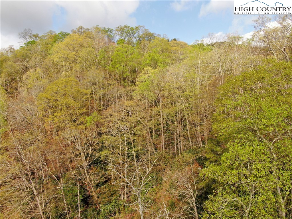 Big Hill Road Todd, NC 28684 - Photo 16 of 45