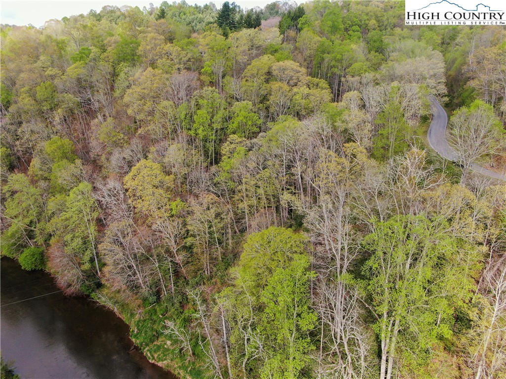 Big Hill Road Todd, NC 28684 - Photo 17 of 45 a view of a forest with a street