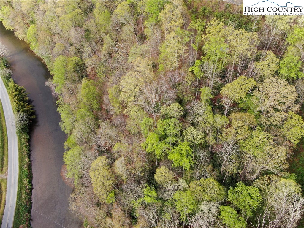 Big Hill Road Todd, NC 28684 - Photo 20 of 45 a view of a forest with a tree