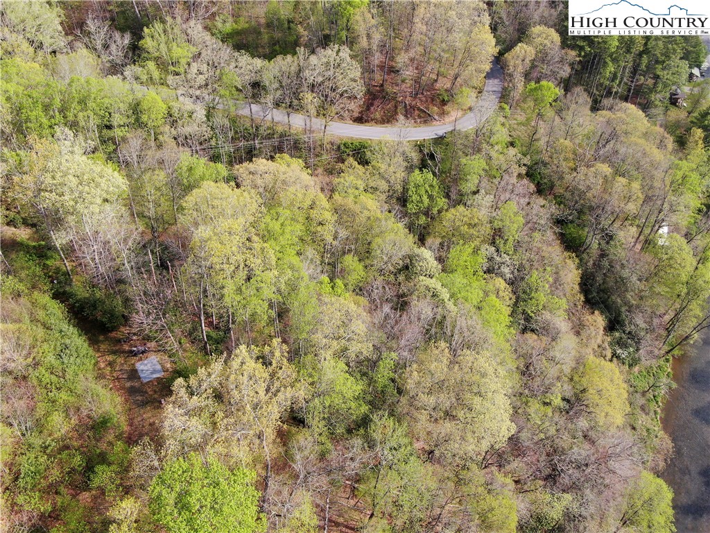 Big Hill Road Todd, NC 28684 - Photo 21 of 45 a view of a forest with a tree