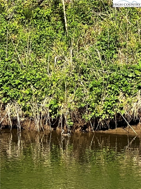 Big Hill Road Todd, NC 28684 - Photo 27 of 45