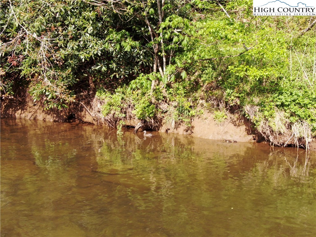Big Hill Road Todd, NC 28684 - Photo 28 of 45 a view of lake with tree