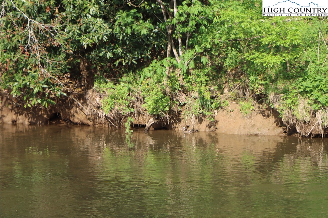 Big Hill Road Todd, NC 28684 - Photo 39 of 45