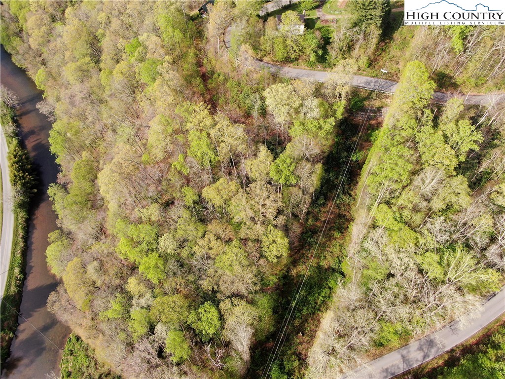 Big Hill Road Todd, NC 28684 - Photo 5 of 45 a view of a yard with a trees