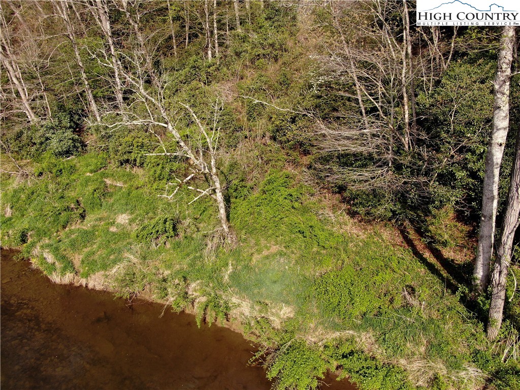 Big Hill Road Todd, NC 28684 - Photo 6 of 45 a view of a yard with a tree