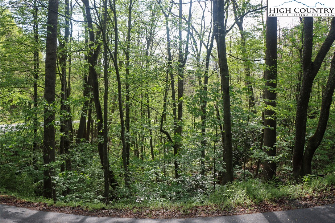 Big Hill Road Todd, NC 28684 - Photo 8 of 45