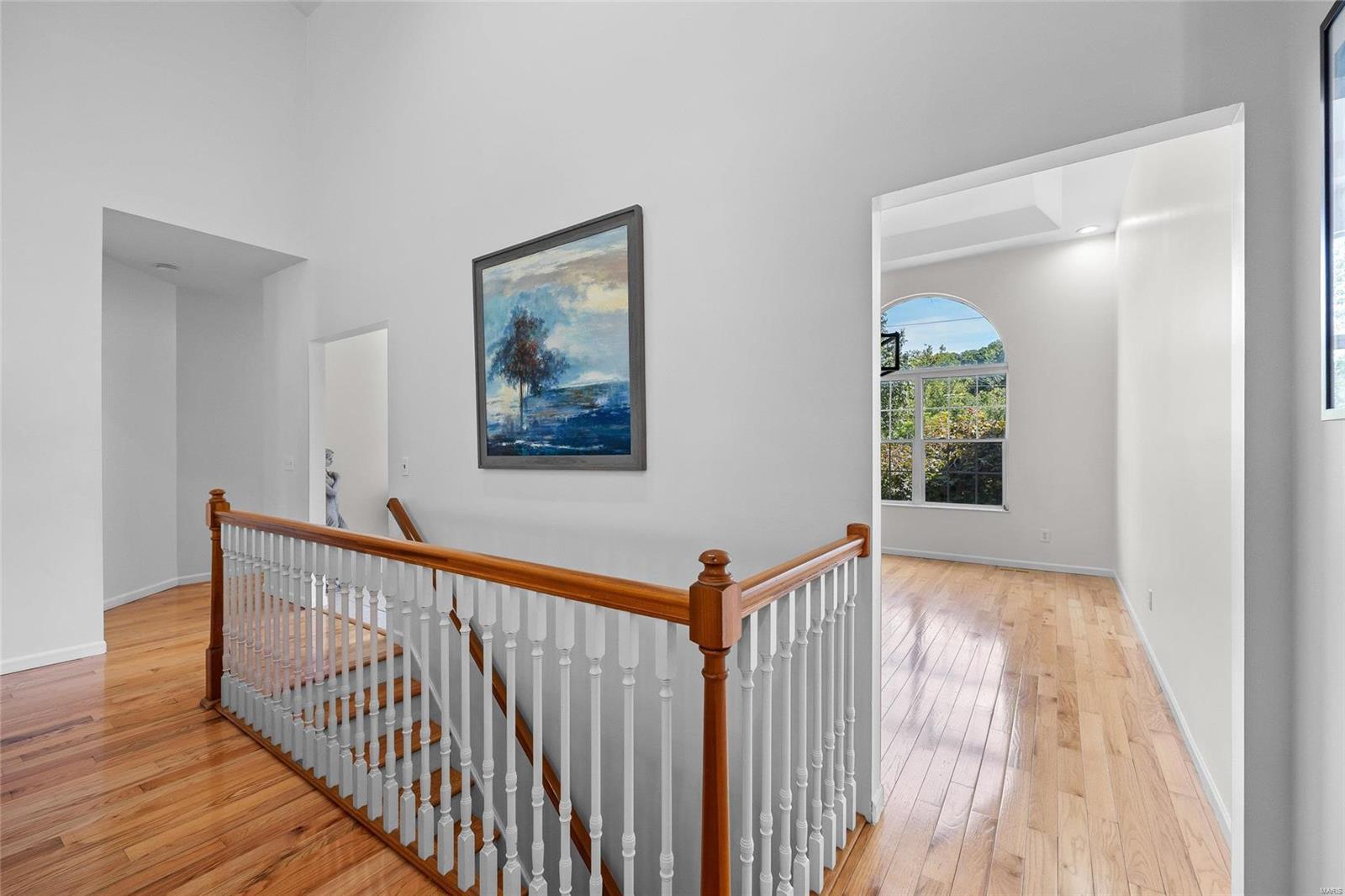 3313 Baumgartner Road St. Louis, MO 63129 - Photo 40 of 59