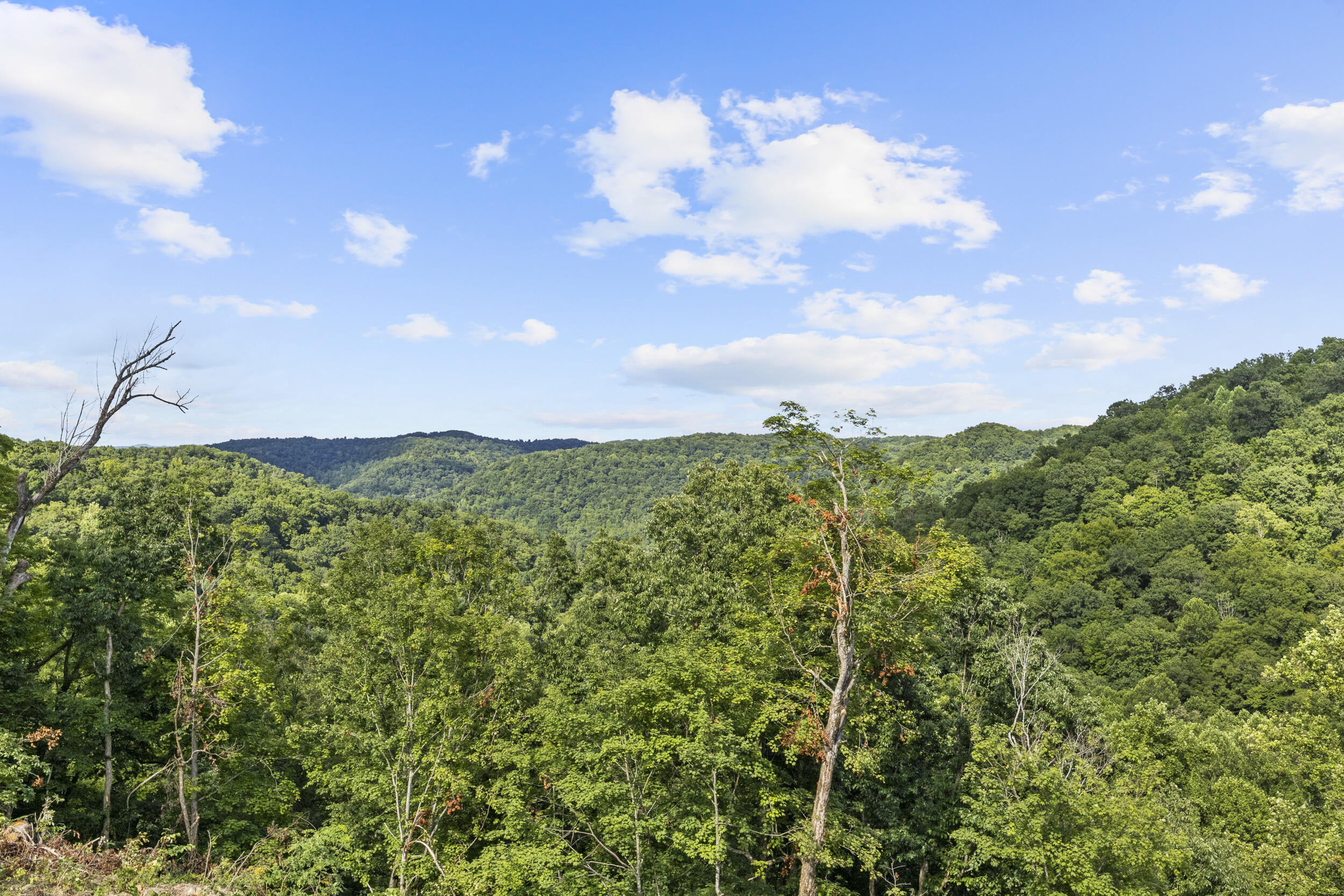 Lot 6 Rock House Ridge Stanton, KY 40380 - Photo 72 of 76 img_8419