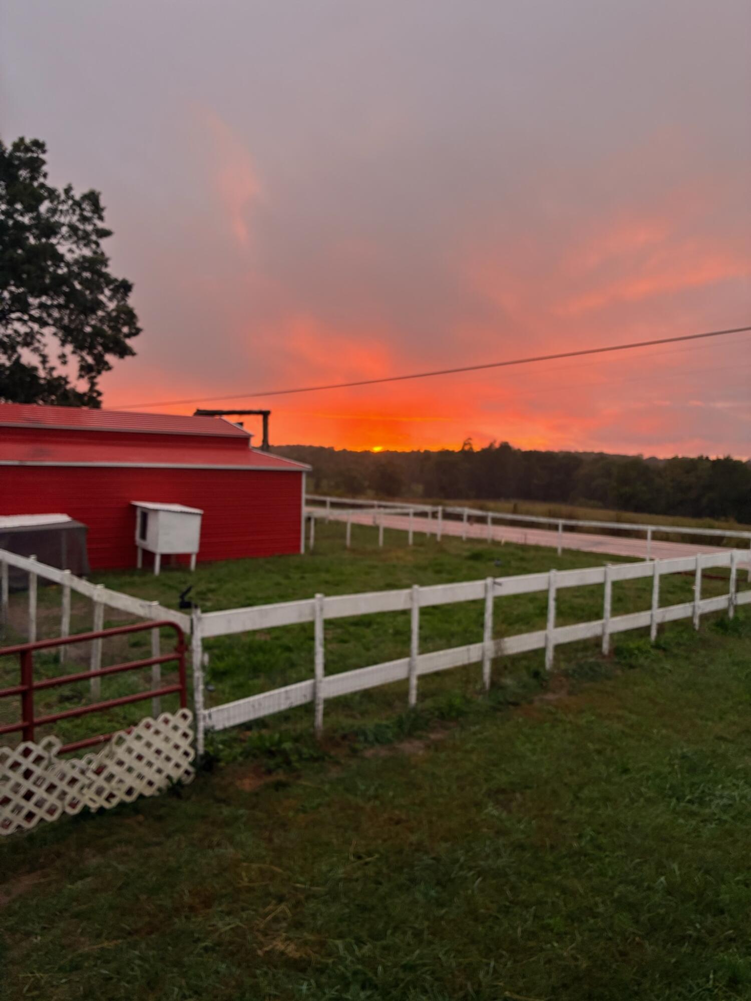 2224 Gap Road Altamont, TN 37301 - Photo 20 of 22 IMG_1212